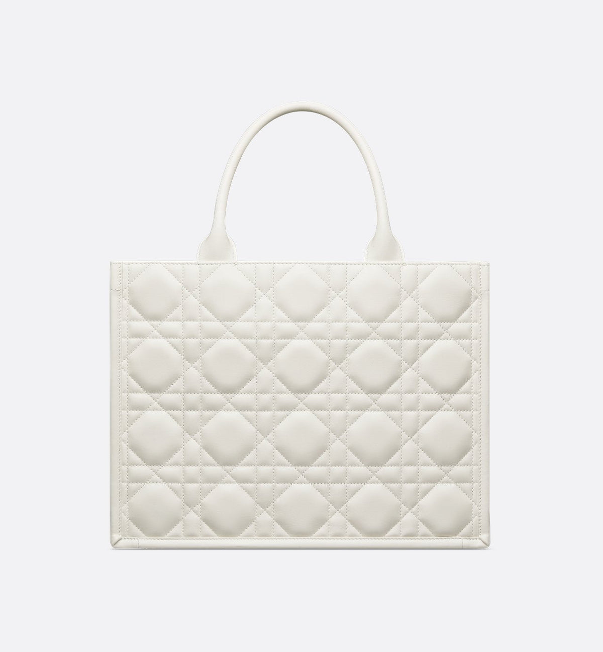 Dior Book Tote Medium Bag - #2