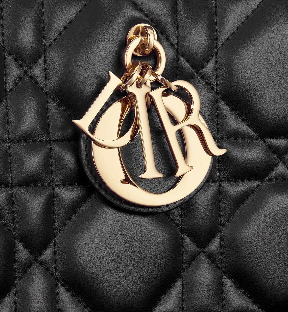 Dior Book Tote Medium Bag - #1